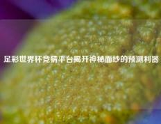 足彩世界杯竞猜平台揭开神秘面纱的预测利器
