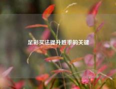 足彩买法提升胜率的关键