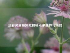足彩奖金预测吧揭秘未来胜算与策略