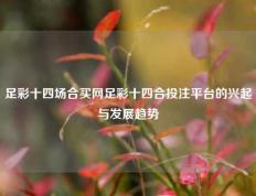 足彩十四场合买网足彩十四合投注平台的兴起与发展趋势
