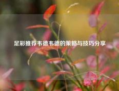 足彩推荐韦德韦德的策略与技巧分享