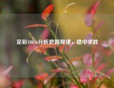 足彩18036分析把握规律，稳中求胜