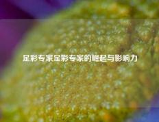 足彩专家足彩专家的崛起与影响力