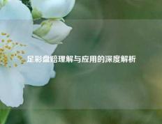 足彩盘赔理解与应用的深度解析