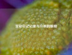 足彩日记记录与分析的旅程