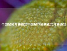 中国足彩开售通知中国足球彩票正式开售通知