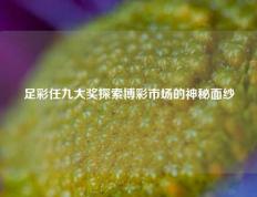 足彩任九大奖探索博彩市场的神秘面纱