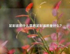 足彩波胆什么意思足彩波胆是什么？