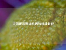 中国足彩网址机遇与挑战并存
