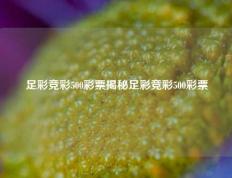 足彩竞彩500彩票揭秘足彩竞彩500彩票