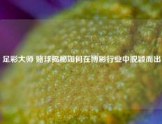 足彩大师 赌球揭秘如何在博彩行业中脱颖而出