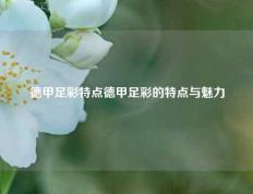 德甲足彩特点德甲足彩的特点与魅力
