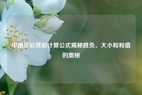 中国足彩竞彩计算公式揭秘胜负、大小和和值的奥秘