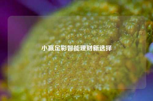 小赢足彩智能理财新选择