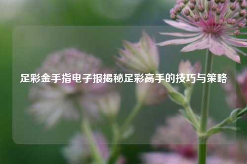 足彩金手指电子报揭秘足彩高手的技巧与策略