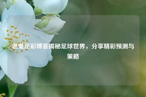 老鬼足彩博客揭秘足球世界，分享精彩预测与策略
