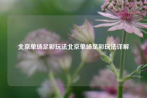 北京单场足彩玩法北京单场足彩玩法详解