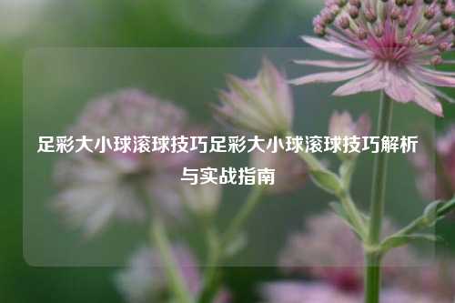 足彩大小球滚球技巧足彩大小球滚球技巧解析与实战指南