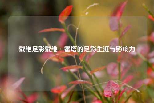 戴维足彩戴维·霍塔的足彩生涯与影响力
