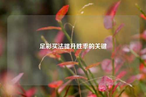 足彩买法提升胜率的关键