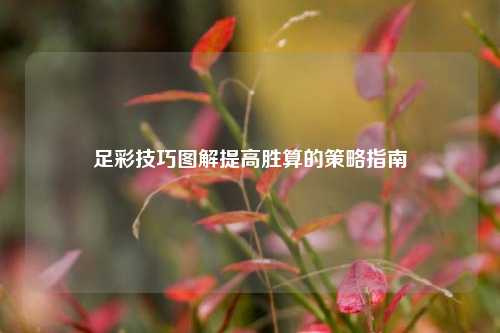 足彩技巧图解提高胜算的策略指南