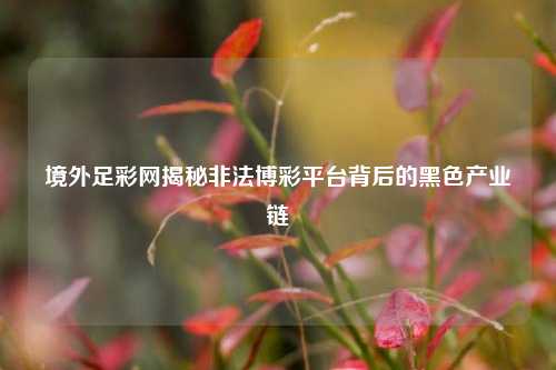 境外足彩网揭秘非法博彩平台背后的黑色产业链