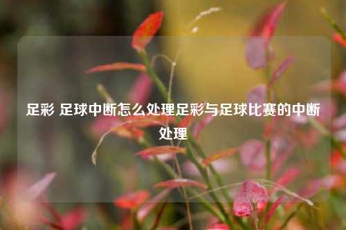 足彩 足球中断怎么处理足彩与足球比赛的中断处理