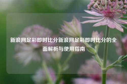 新浪网足彩即时比分新浪网足彩即时比分的全面解析与使用指南