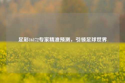 足彩16172专家精准预测，引领足球世界