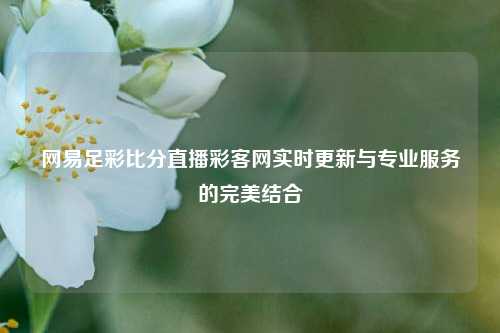 网易足彩比分直播彩客网实时更新与专业服务的完美结合