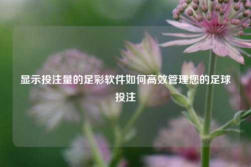 显示投注量的足彩软件如何高效管理您的足球投注