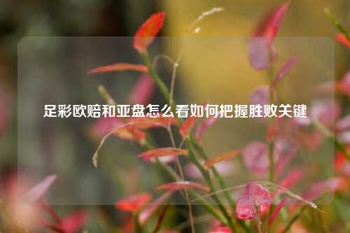 足彩欧赔和亚盘怎么看如何把握胜败关键