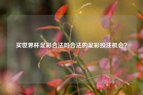 买世界杯足彩合法吗合法的足彩投注机会？