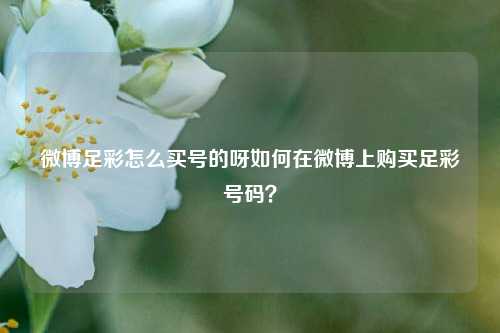 微博足彩怎么买号的呀如何在微博上购买足彩号码？