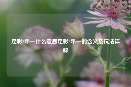 足彩2串一什么意思足彩2串一的含义及玩法详解