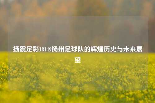 扬震足彩18149扬州足球队的辉煌历史与未来展望