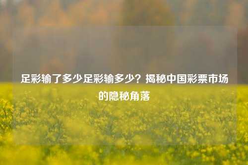 足彩输了多少足彩输多少？揭秘中国彩票市场的隐秘角落