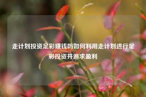走计划投资足彩赚钱吗如何利用走计划进行足彩投资并追求盈利