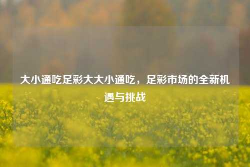 大小通吃足彩大大小通吃，足彩市场的全新机遇与挑战
