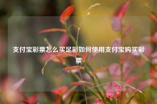 支付宝彩票怎么买足彩如何使用支付宝购买彩票