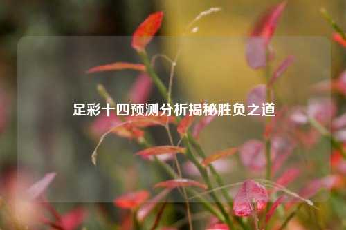 足彩十四预测分析揭秘胜负之道