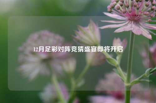 12月足彩对阵竞猜盛宴即将开启