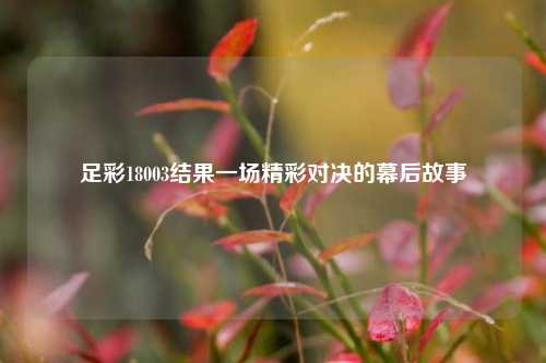 足彩18003结果一场精彩对决的幕后故事