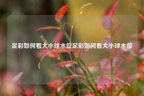 足彩如何看大小球水位足彩如何看大小球水位