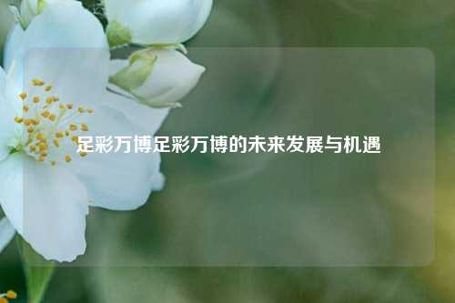 足彩万博足彩万博的未来发展与机遇