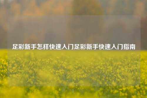 足彩新手怎样快速入门足彩新手快速入门指南