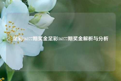 足彩16177期奖金足彩16177期奖金解析与分析