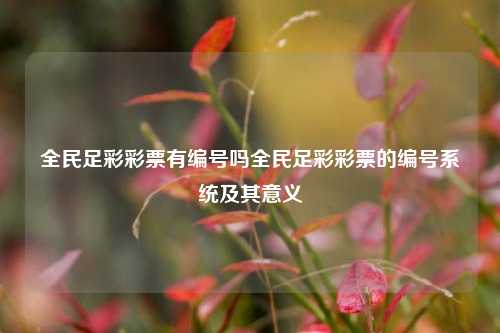 全民足彩彩票有编号吗全民足彩彩票的编号系统及其意义