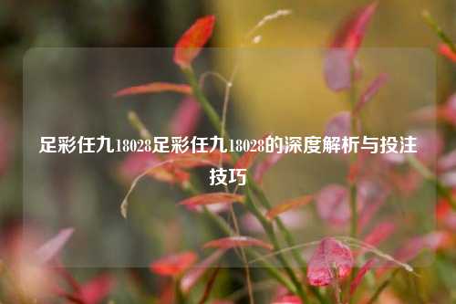 足彩任九18028足彩任九18028的深度解析与投注技巧