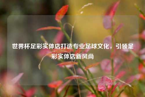 世界杯足彩实体店打造专业足球文化，引领足彩实体店新风尚